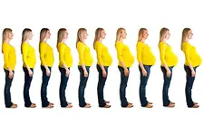 Hafta Hafta Gebelik Dönemleri ve Beslenme