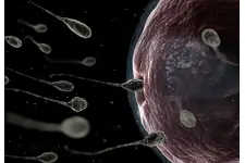 Kimyasal Gebelik Belirtileri ve Tedavisi Kimyasal Gebelik Belirtileri ve Tedavisi