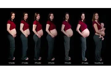 Ay Ay Gebelik Gelişim ve Dönemleri