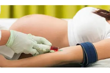 Gebelikte Yapılan Testler Nelerdir?